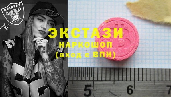 шишки Сосновый Бор